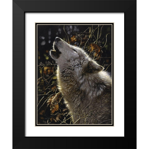 Howling Wolf - Songs of Autumn Black Modern Wood Framed Art Print with Double Matting by Bogle, Collin
