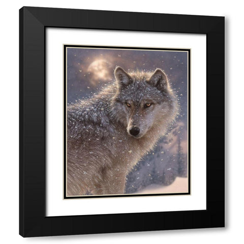 Lone Wolf Black Modern Wood Framed Art Print with Double Matting by Bogle, Collin