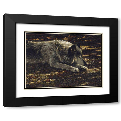 Resting Wolf Black Modern Wood Framed Art Print with Double Matting by Bogle, Collin