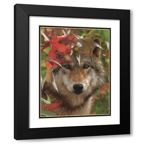Wolf - Autumn Encounter Black Modern Wood Framed Art Print with Double Matting by Bogle, Collin