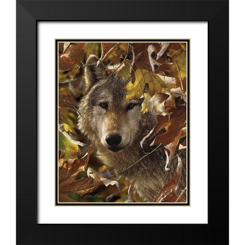 Wolf - Autumn Shadows Black Modern Wood Framed Art Print with Double Matting by Bogle, Collin