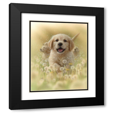 Golden Retriever Puppy - Dandelions Black Modern Wood Framed Art Print with Double Matting by Bogle, Collin