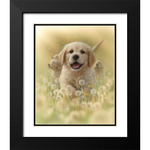 Golden Retriever Puppy - Dandelions Black Modern Wood Framed Art Print with Double Matting by Bogle, Collin