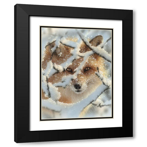 Red Fox - Hide and Seek Black Modern Wood Framed Art Print with Double Matting by Bogle, Collin