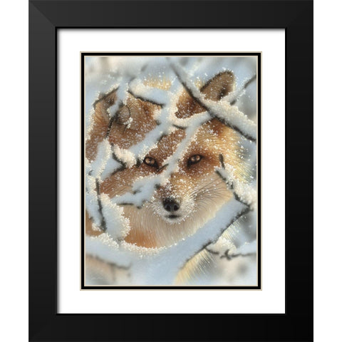 Red Fox - Hide and Seek Black Modern Wood Framed Art Print with Double Matting by Bogle, Collin