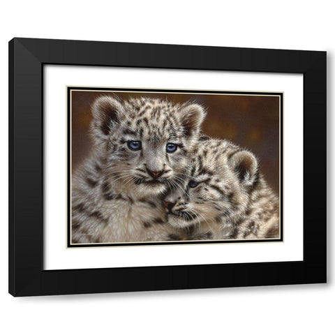 Snow Leopard Cubs - Playmates - Horizontal Black Modern Wood Framed Art Print with Double Matting by Bogle, Collin