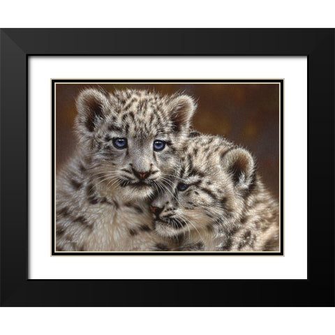 Snow Leopard Cubs - Playmates - Horizontal Black Modern Wood Framed Art Print with Double Matting by Bogle, Collin