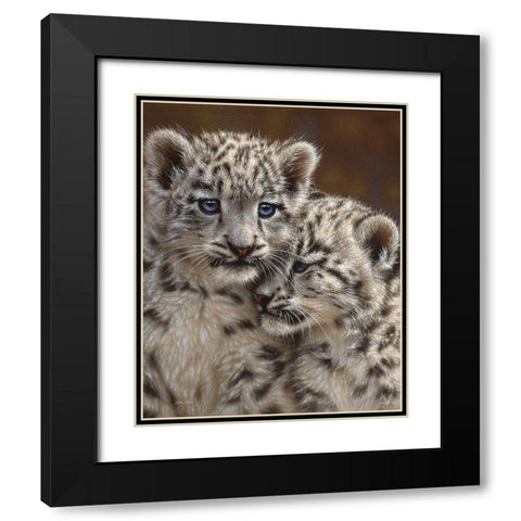 Snow Leopard Cubs - Playmates Black Modern Wood Framed Art Print with Double Matting by Bogle, Collin