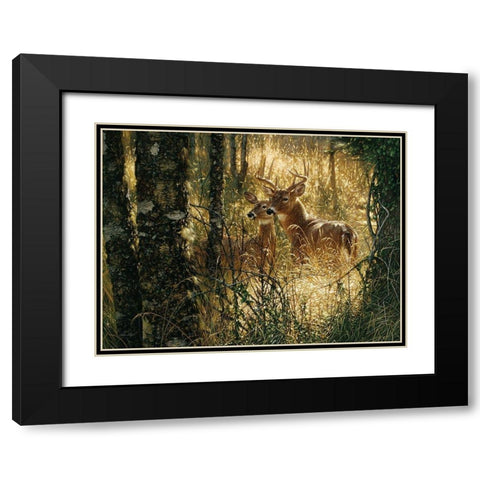 Whitetail Deer - A Golden Moment - Horizontal Black Modern Wood Framed Art Print with Double Matting by Bogle, Collin