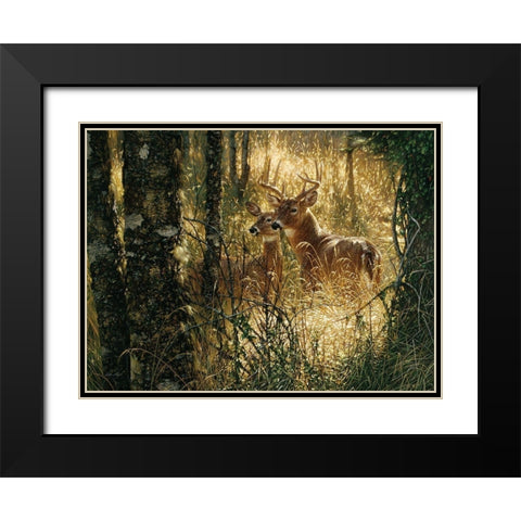 Whitetail Deer - A Golden Moment - Horizontal Black Modern Wood Framed Art Print with Double Matting by Bogle, Collin