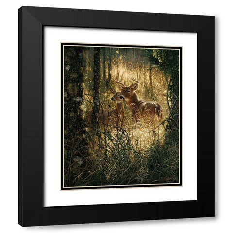 Whitetail Deer - A Golden Moment Black Modern Wood Framed Art Print with Double Matting by Bogle, Collin