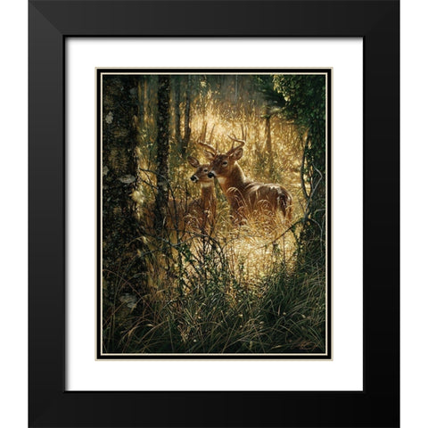 Whitetail Deer - A Golden Moment Black Modern Wood Framed Art Print with Double Matting by Bogle, Collin
