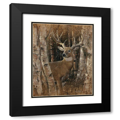 Whitetail Deer - Birchwood Buck Black Modern Wood Framed Art Print with Double Matting by Bogle, Collin