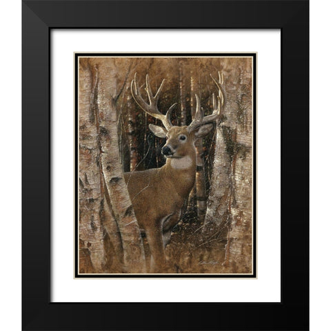 Whitetail Deer - Birchwood Buck Black Modern Wood Framed Art Print with Double Matting by Bogle, Collin