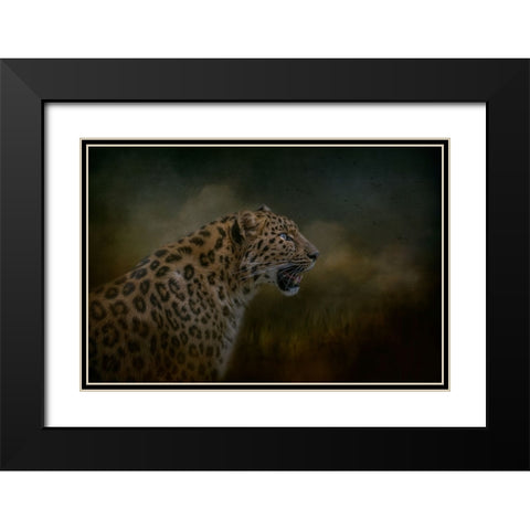 Watchful Waiting Black Modern Wood Framed Art Print with Double Matting by Parker, Kelley