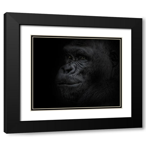 Great Ape Black Modern Wood Framed Art Print with Double Matting by Parker, Kelley