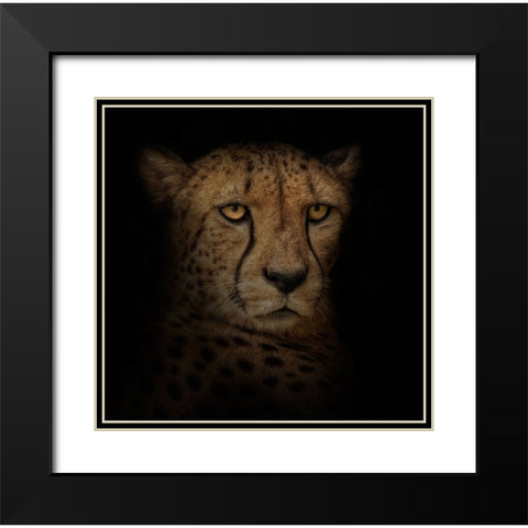 Out of the Shadows Black Modern Wood Framed Art Print with Double Matting by Parker, Kelley