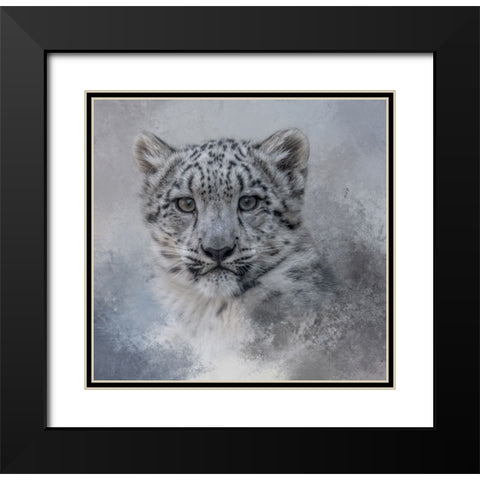 Snow Baby Black Modern Wood Framed Art Print with Double Matting by Parker, Kelley