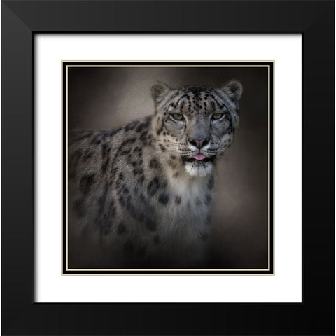 Himalayan Queen Black Modern Wood Framed Art Print with Double Matting by Parker, Kelley