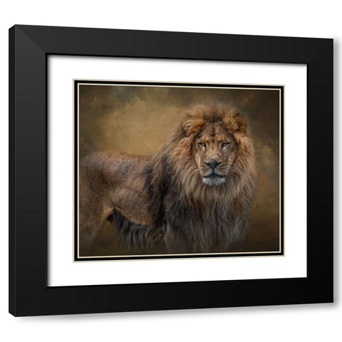 In His Prime Black Modern Wood Framed Art Print with Double Matting by Parker, Kelley