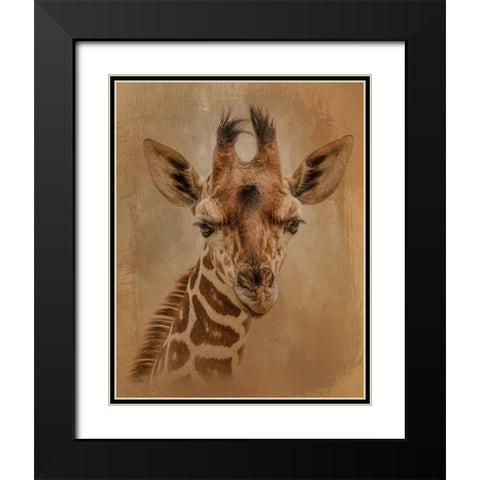 Gentle Giant Black Modern Wood Framed Art Print with Double Matting by Parker, Kelley