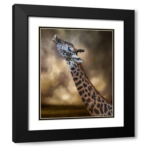 Stretch Black Modern Wood Framed Art Print with Double Matting by Parker, Kelley