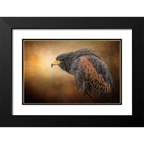 Hawkeye Black Modern Wood Framed Art Print with Double Matting by Parker, Kelley