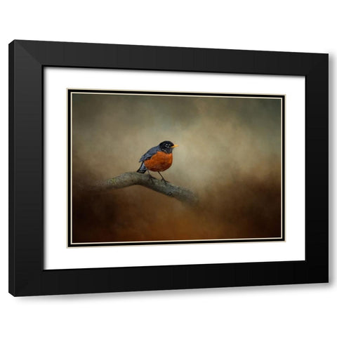 Little Charmer Black Modern Wood Framed Art Print with Double Matting by Parker, Kelley