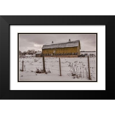 Old Yeller Black Modern Wood Framed Art Print with Double Matting by Parker, Kelley