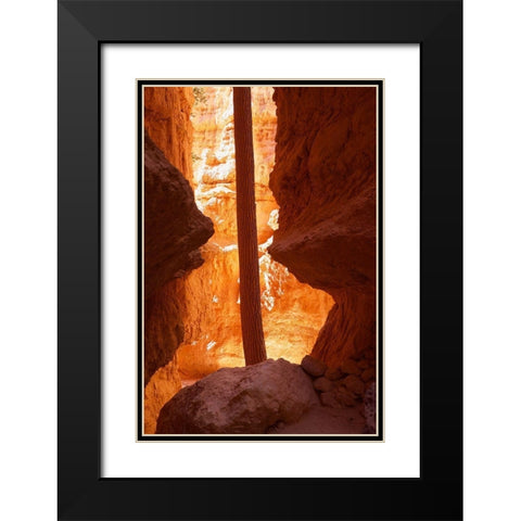 Determined Black Modern Wood Framed Art Print with Double Matting by Singleton, Ashley