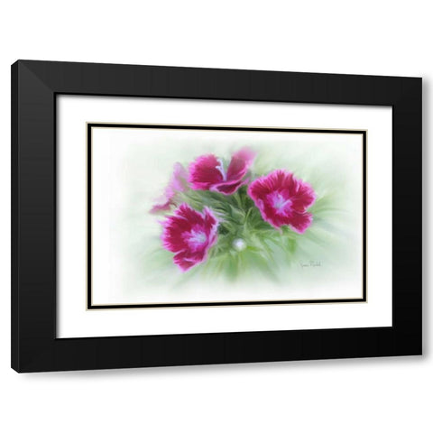 Bachelor Buttons I Black Modern Wood Framed Art Print with Double Matting by Murdock, Ramona