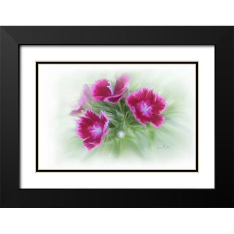 Bachelor Buttons I Black Modern Wood Framed Art Print with Double Matting by Murdock, Ramona