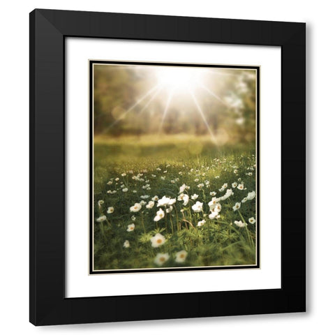 Field and Sun Black Modern Wood Framed Art Print with Double Matting by Moss, Tara