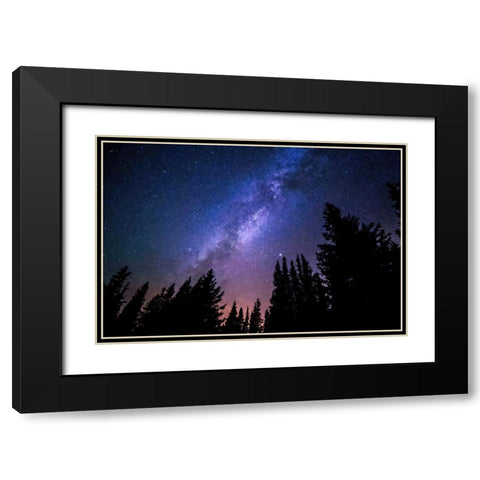 Conifers and Milky Way Black Modern Wood Framed Art Print with Double Matting by Dundon, Denise