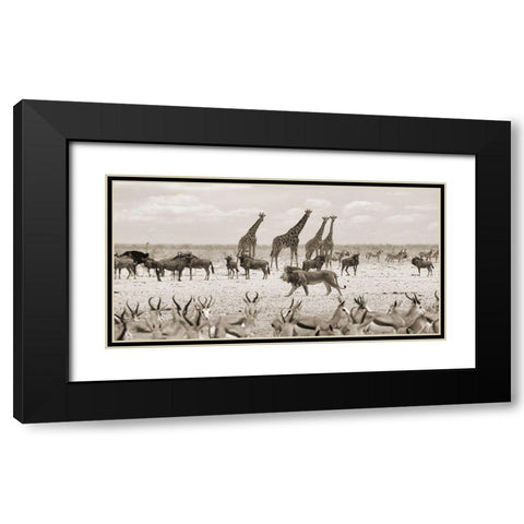 Sovereign passing by (Masai Mara-BW) Black Modern Wood Framed Art Print with Double Matting by Pangea Images