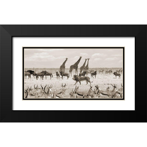 Sovereign passing by (Masai Mara-BW) Black Modern Wood Framed Art Print with Double Matting by Pangea Images