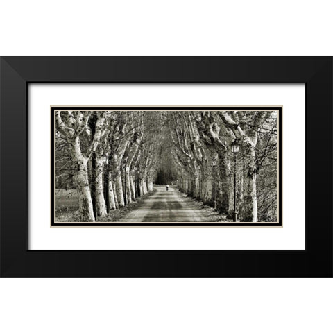 Come le foglie Black Modern Wood Framed Art Print with Double Matting by Ferrua, Fulvio