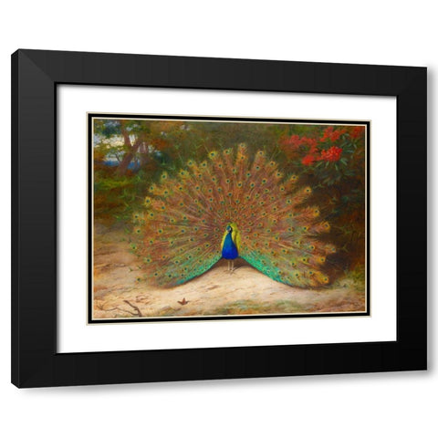 Peacock and Peacock Butterfly Black Modern Wood Framed Art Print with Double Matting by Thorburn, Archibald