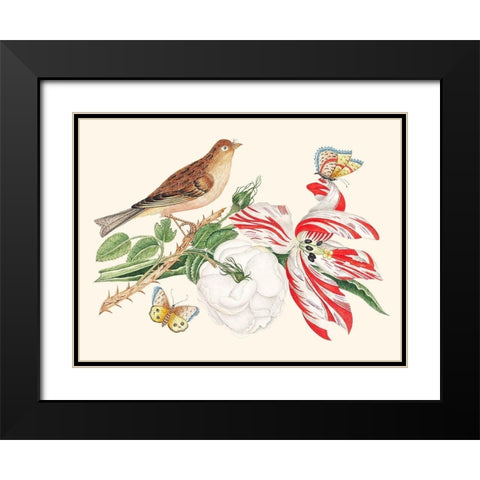 A Bird on a branch with Rose-Tulip and Butterflies Black Modern Wood Framed Art Print with Double Matting by Anonymous