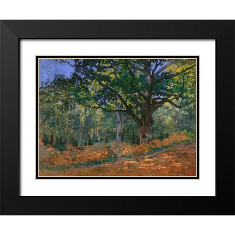 The Bodmer Oak Fontainebleau Forest Black Modern Wood Framed Art Print with Double Matting by Monet, Claude