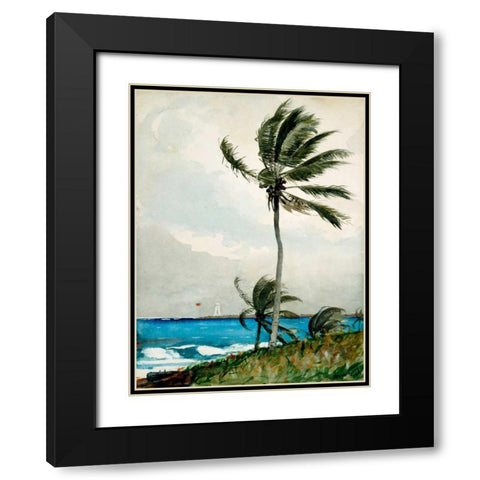 Palm Tree, Nassau Black Modern Wood Framed Art Print with Double Matting by Homer, Winslow