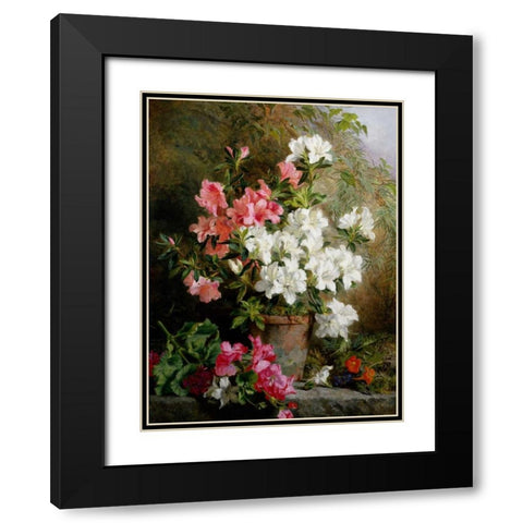 Still Life of Azaleas Black Modern Wood Framed Art Print with Double Matting by Feray Mutrie, Annie