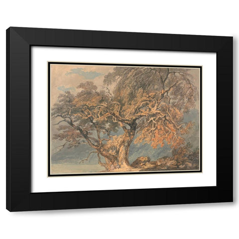 A Great Tree Black Modern Wood Framed Art Print with Double Matting by Turner, William