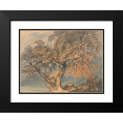 A Great Tree Black Modern Wood Framed Art Print with Double Matting by Turner, William