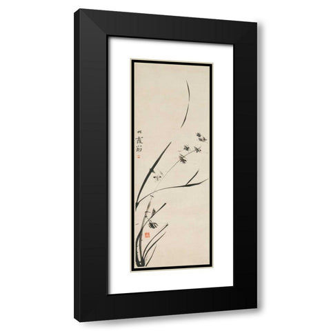Orchids  Black Modern Wood Framed Art Print with Double Matting by Anonymous