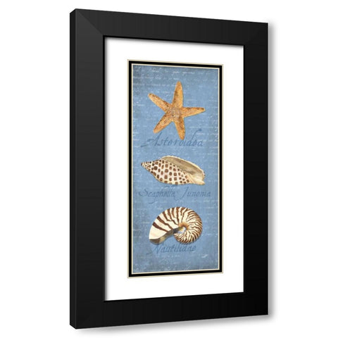 Oceanum Shell Panel Blue II Black Modern Wood Framed Art Print with Double Matting by Reed, Tara