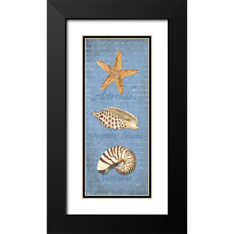 Oceanum Shell Panel Blue II Black Modern Wood Framed Art Print with Double Matting by Reed, Tara