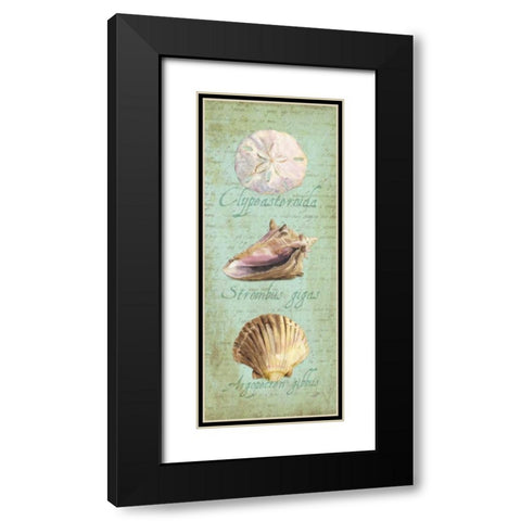 Oceanum Shell Panel Green I Black Modern Wood Framed Art Print with Double Matting by Reed, Tara