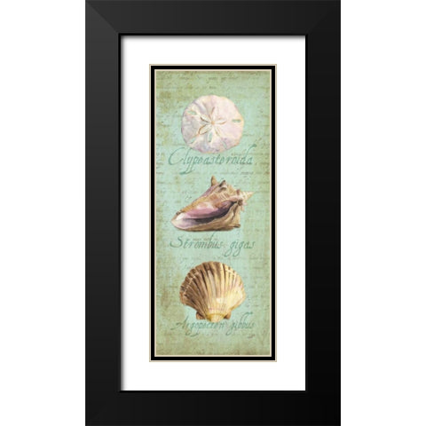 Oceanum Shell Panel Green I Black Modern Wood Framed Art Print with Double Matting by Reed, Tara