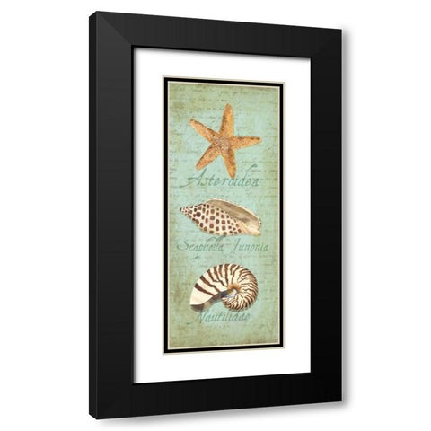Oceanum Shell Panel Green II Black Modern Wood Framed Art Print with Double Matting by Reed, Tara